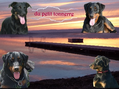 Du Petit Tonnerre